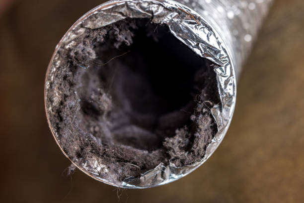 Best Commercial HVAC Duct Cleaning  in Fruitvale, CO